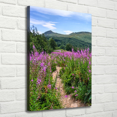 Picture canvas print Bieszczady Mountains