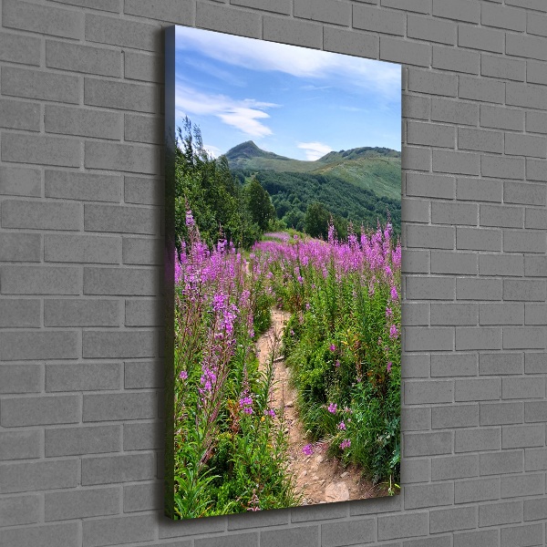 Picture canvas print Bieszczady Mountains