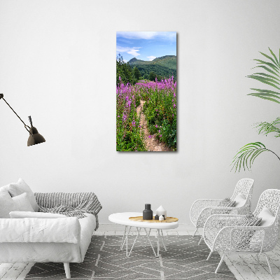 Picture canvas print Bieszczady Mountains