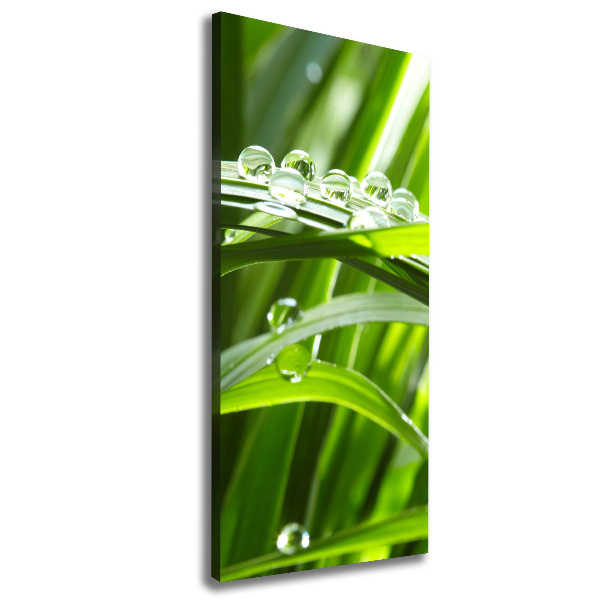 Canvas wall art Blade of grass