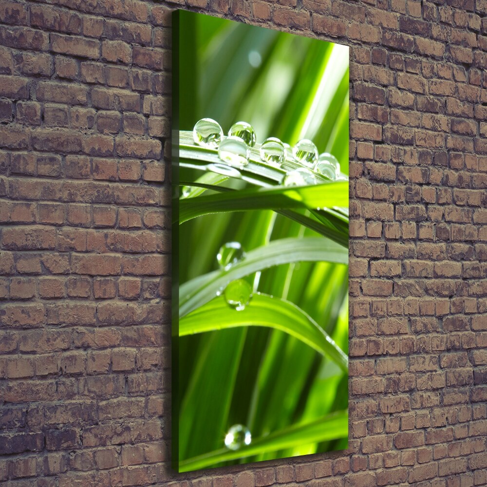 Canvas wall art Blade of grass