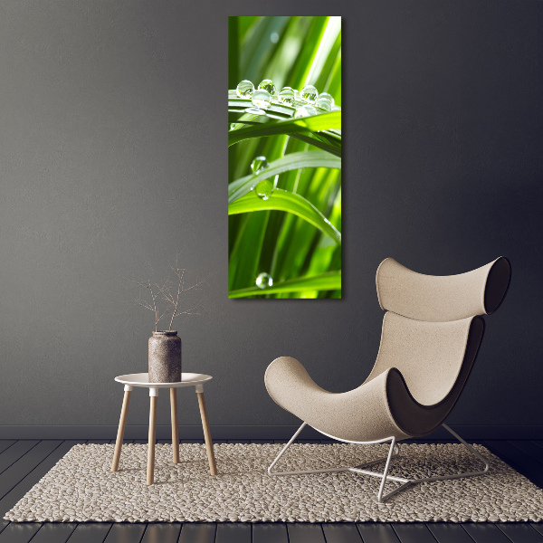 Canvas wall art Blade of grass