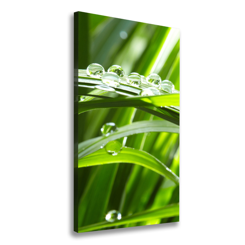 Canvas wall art Blade of grass