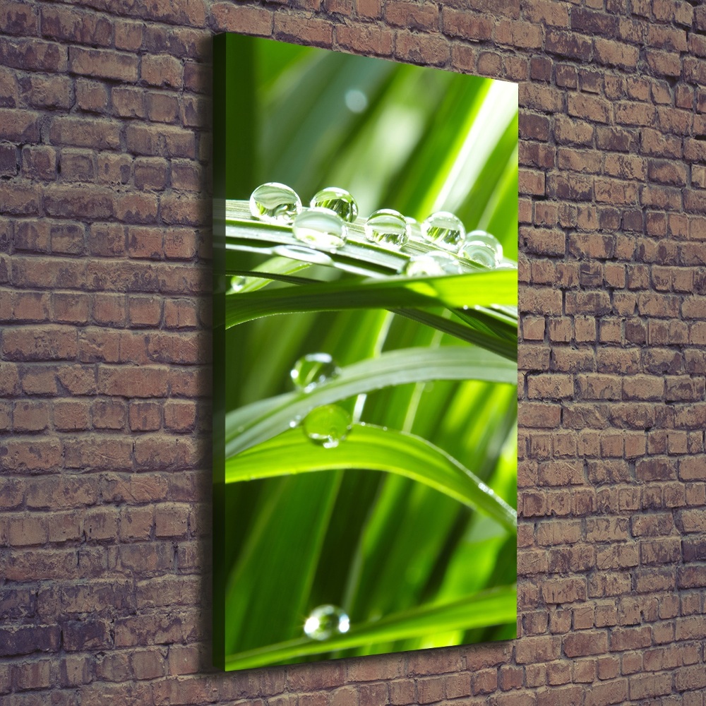 Canvas wall art Blade of grass