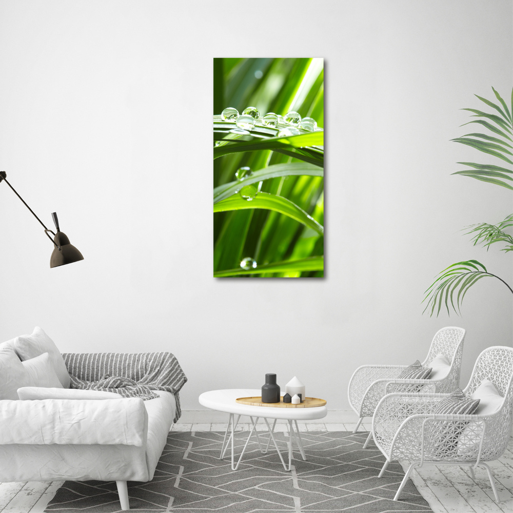 Canvas wall art Blade of grass