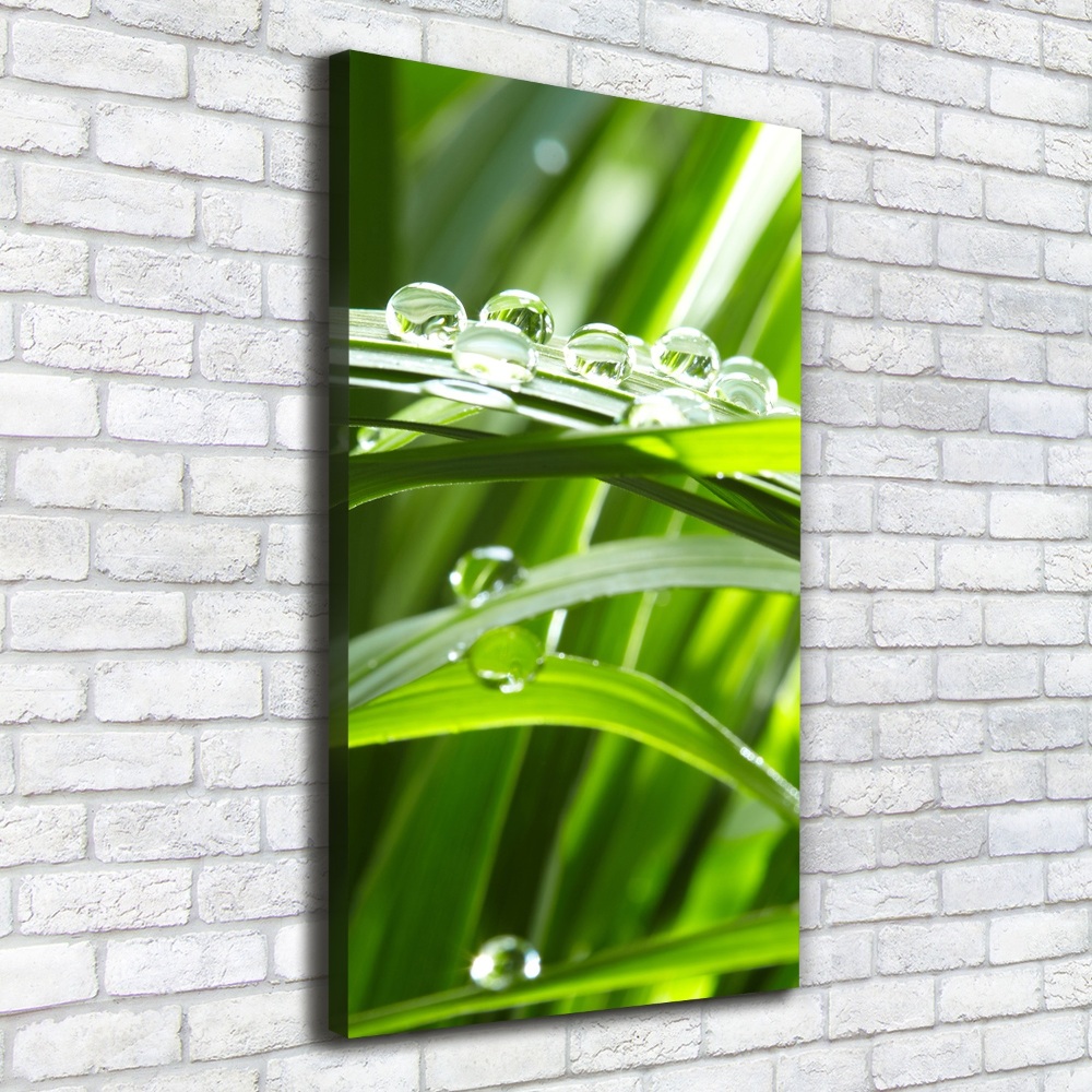 Canvas wall art Blade of grass