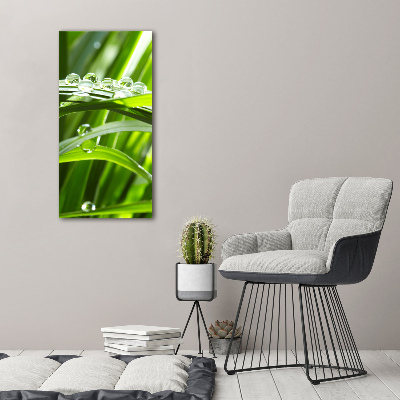 Canvas wall art Blade of grass