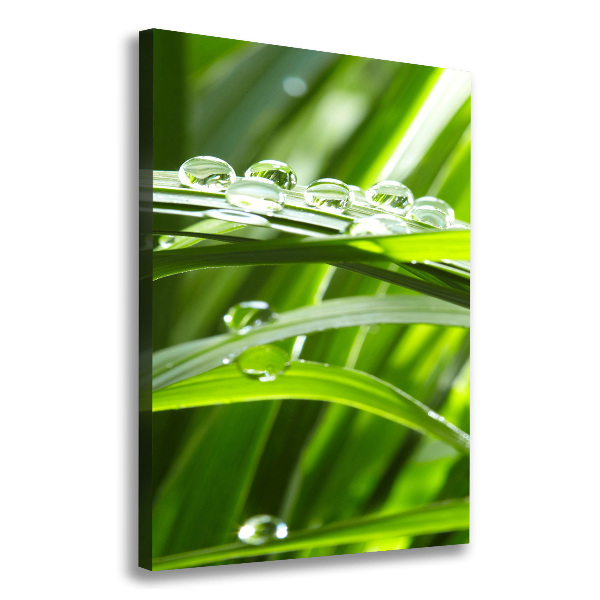 Canvas wall art Blade of grass