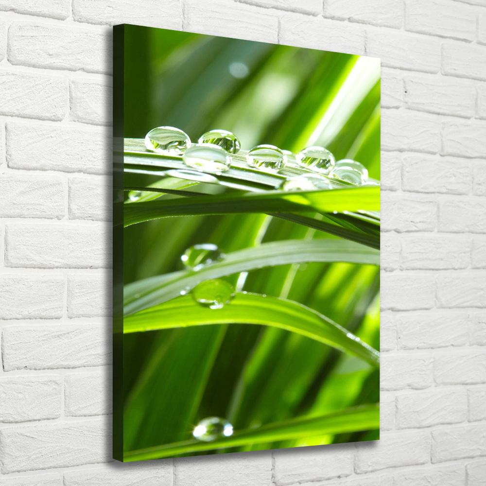 Canvas wall art Blade of grass