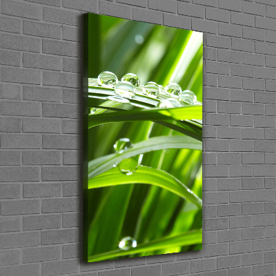 Canvas wall art Blade of grass