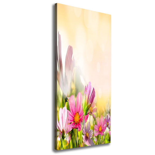 Canvas wall art Field flowers