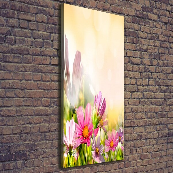 Canvas wall art Field flowers