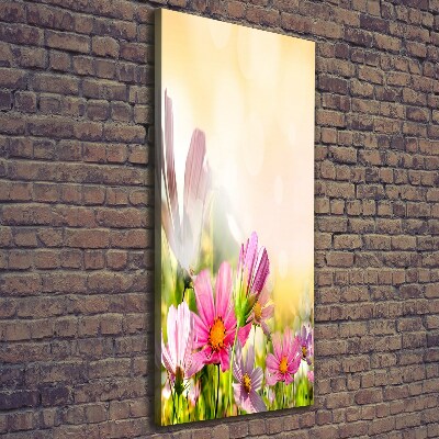 Canvas wall art Field flowers