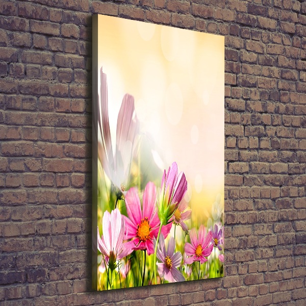 Canvas wall art Field flowers