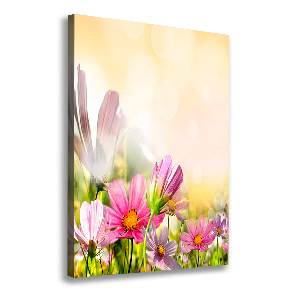 Canvas wall art Field flowers