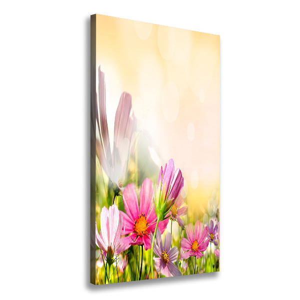 Canvas wall art Field flowers