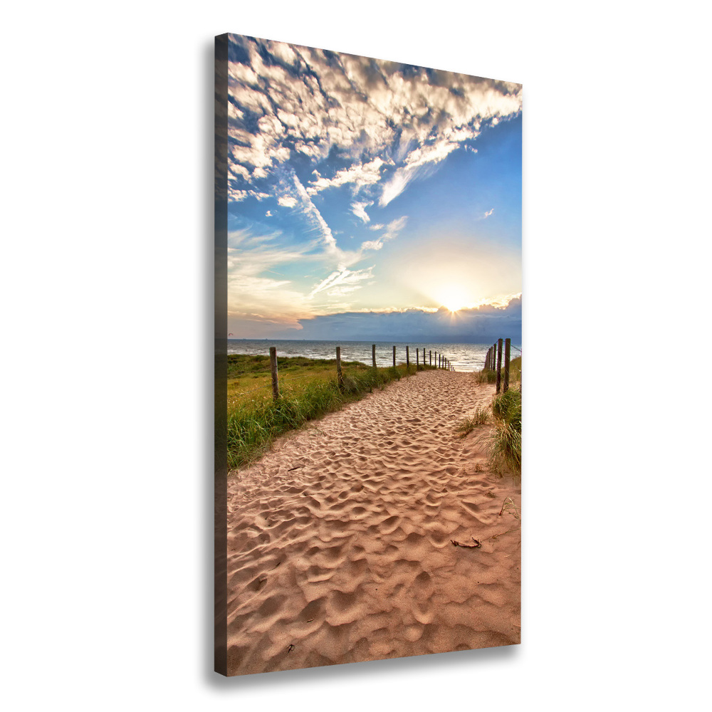 Picture canvas print Path to the beach