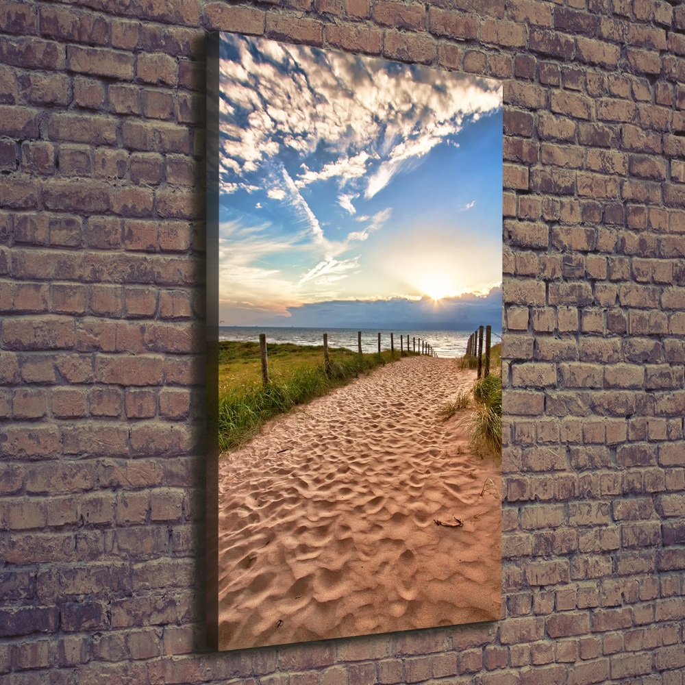 Picture canvas print Path to the beach