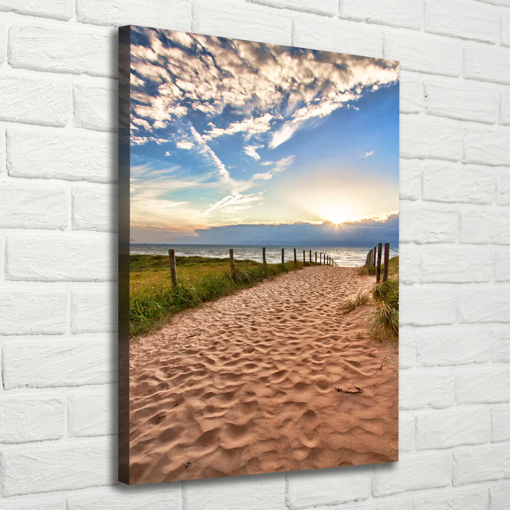 Picture canvas print Path to the beach