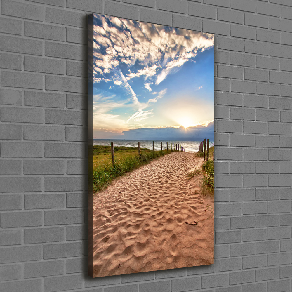 Picture canvas print Path to the beach