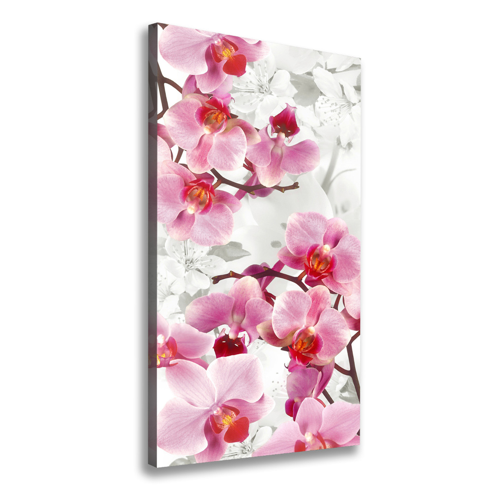 Canvas wall art Pink orchid