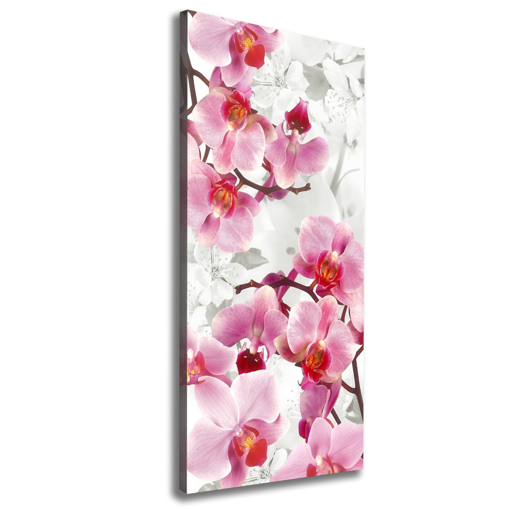 Canvas wall art Pink orchid