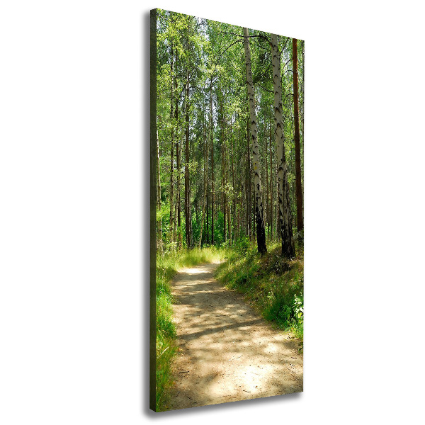 Picture canvas print Birch forest