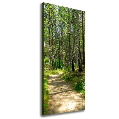 Picture canvas print Birch forest