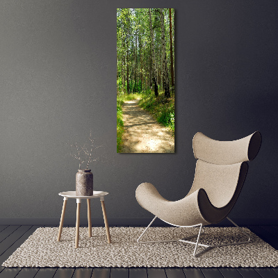 Picture canvas print Birch forest