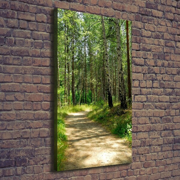 Picture canvas print Birch forest