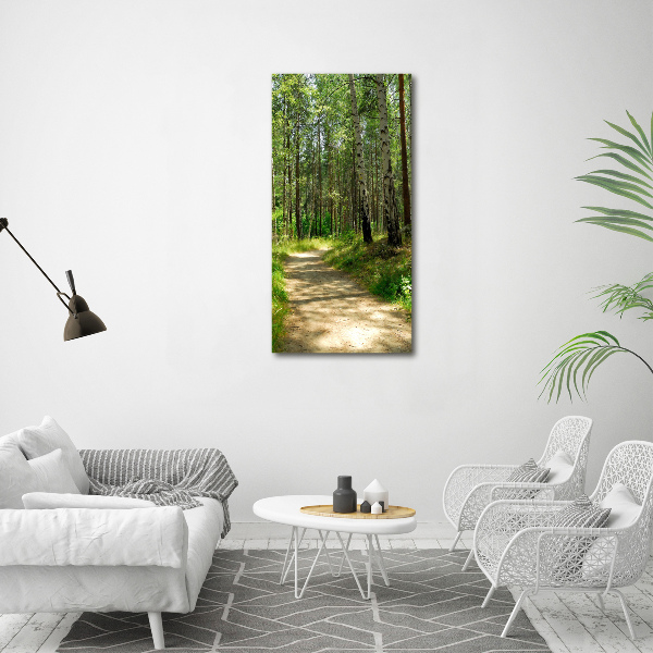 Picture canvas print Birch forest