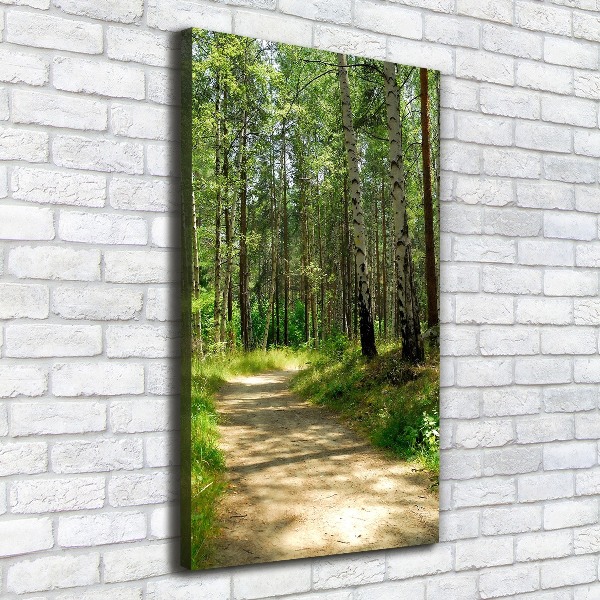 Picture canvas print Birch forest