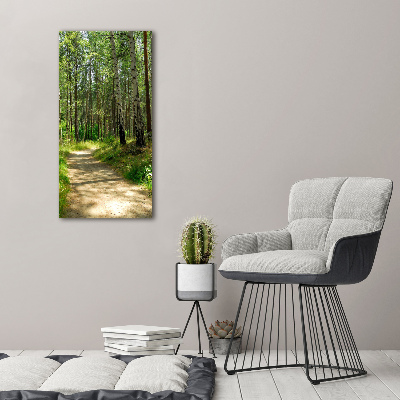 Picture canvas print Birch forest