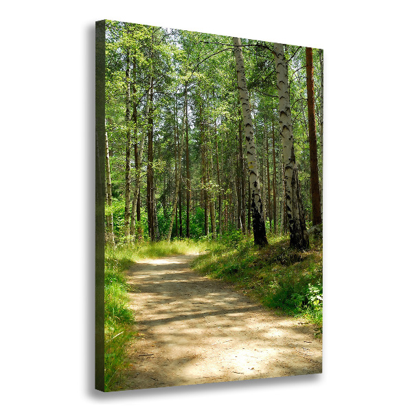 Picture canvas print Birch forest