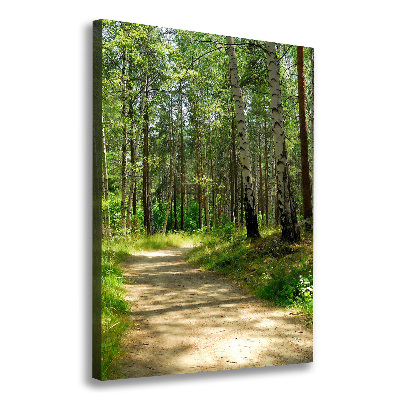 Picture canvas print Birch forest