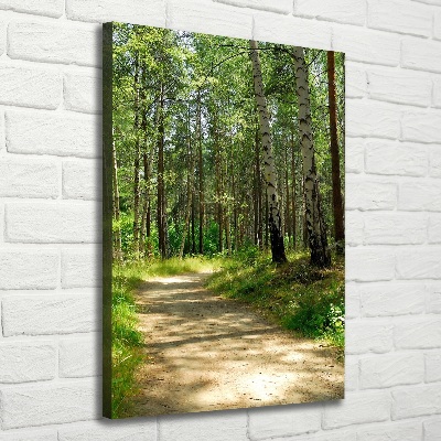 Picture canvas print Birch forest