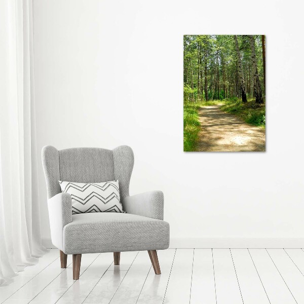 Picture canvas print Birch forest