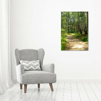 Picture canvas print Birch forest