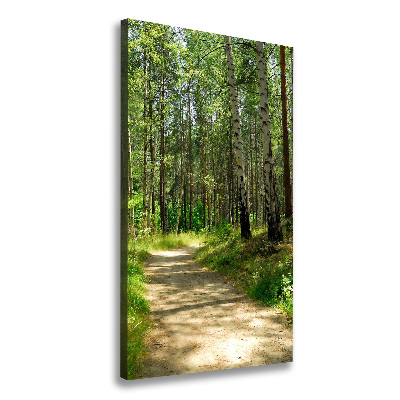 Picture canvas print Birch forest