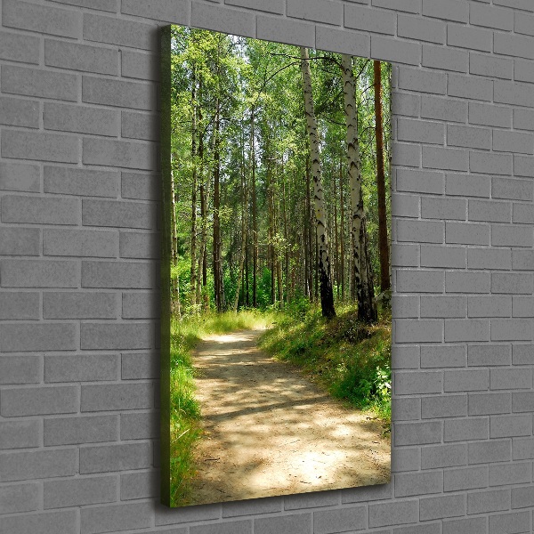 Picture canvas print Birch forest