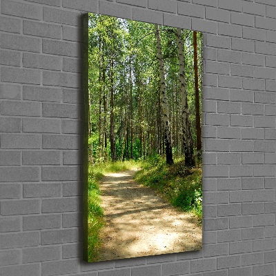 Picture canvas print Birch forest