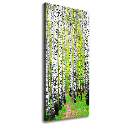 Wall canvas art Birch forest