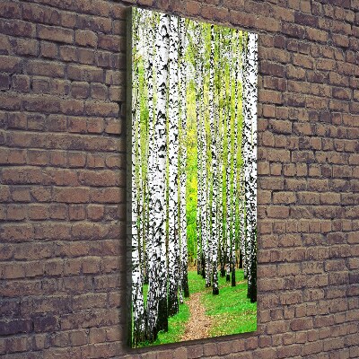 Wall canvas art Birch forest