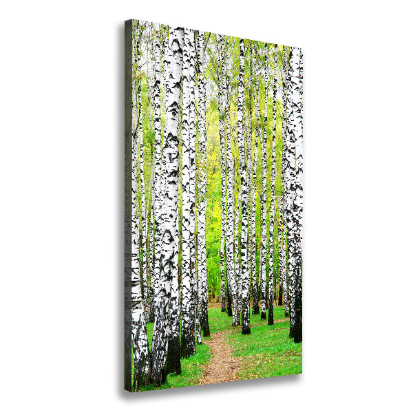 Wall canvas art Birch forest