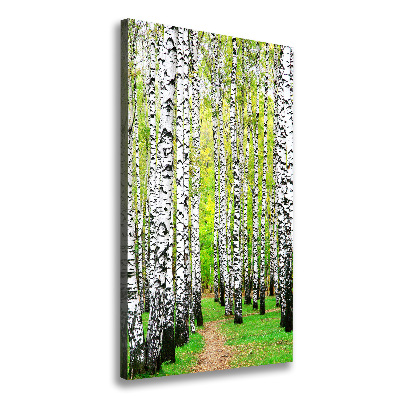 Wall canvas art Birch forest