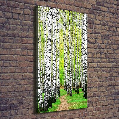 Wall canvas art Birch forest