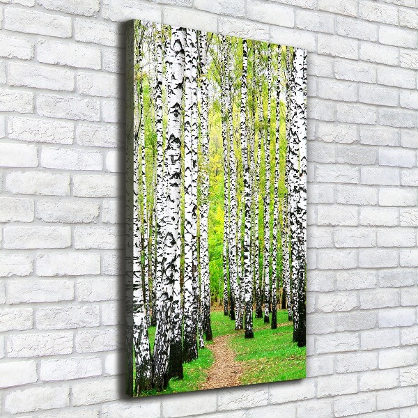 Wall canvas art Birch forest