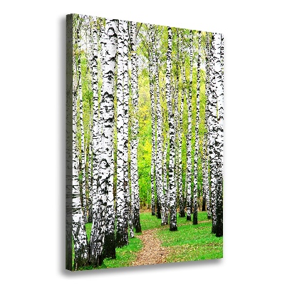 Wall canvas art Birch forest