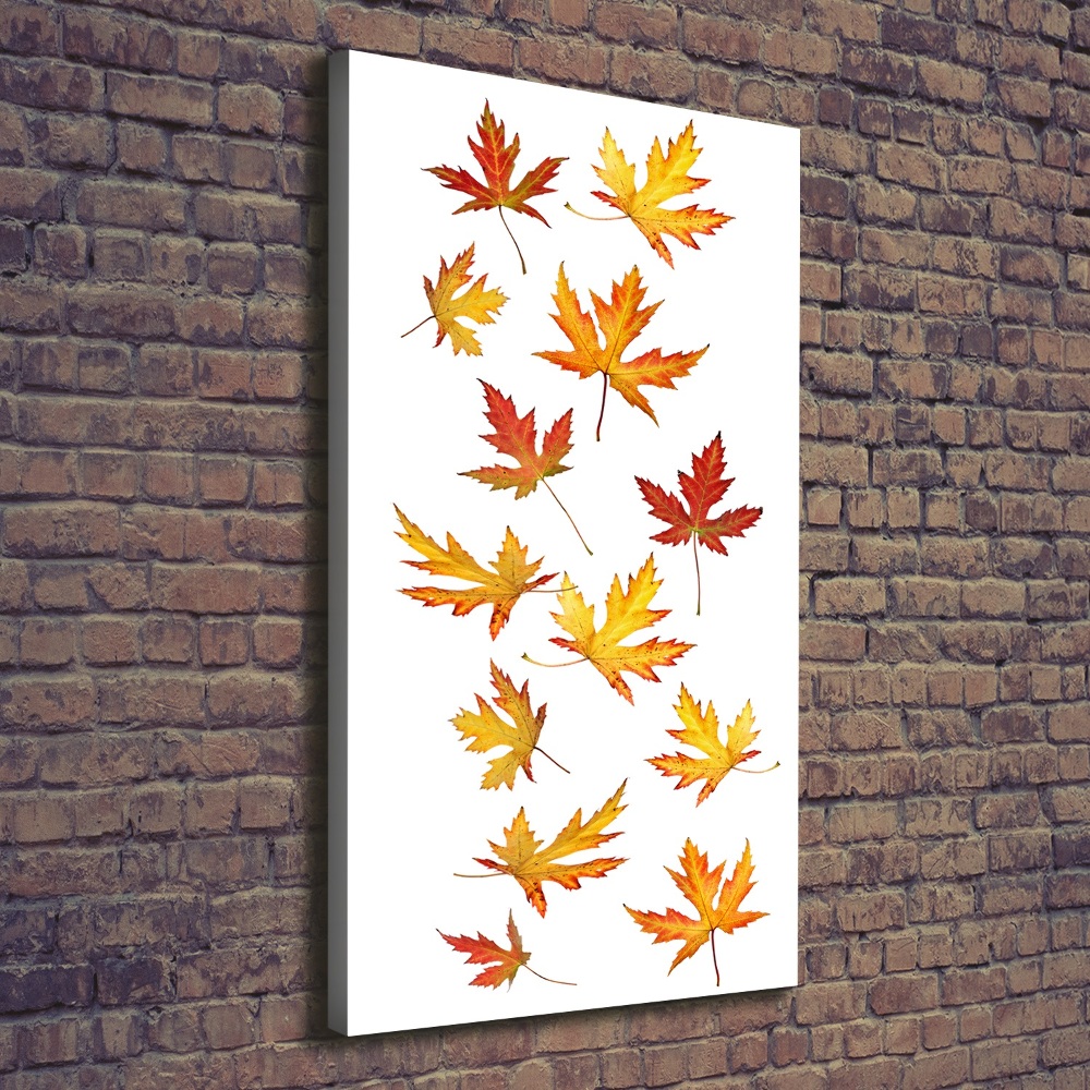 Canvas wall art Autumn leaves