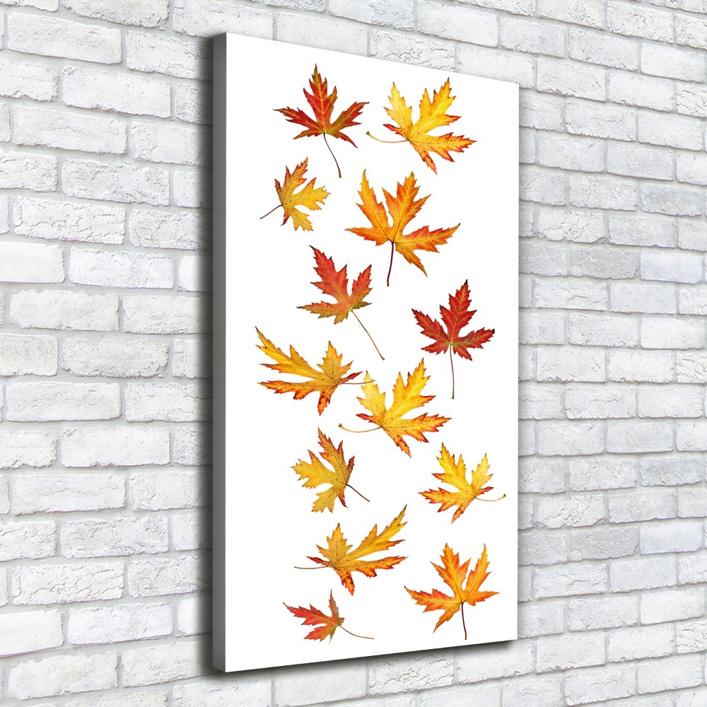 Canvas wall art Autumn leaves